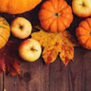 Meet your Posher, Bella